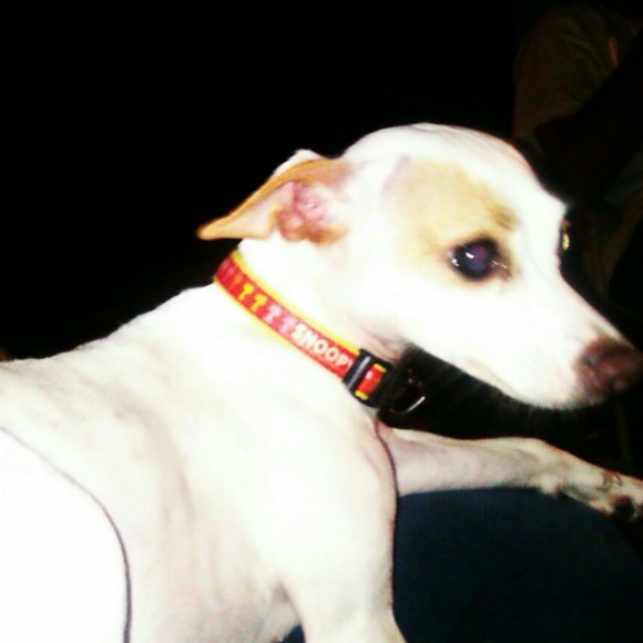 fresssitaaa